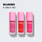 Lipsticks & Blush Combo (10 pc combo) plus free gifts