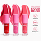 Combo of 3 blushes (flirty,berry,candy) plus free gift